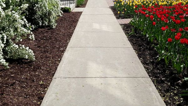 Cost of Sidewalk Slab Replacement in Aurora
