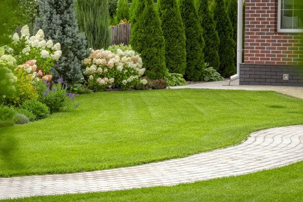 Landscape Walkway Installation in Aurora